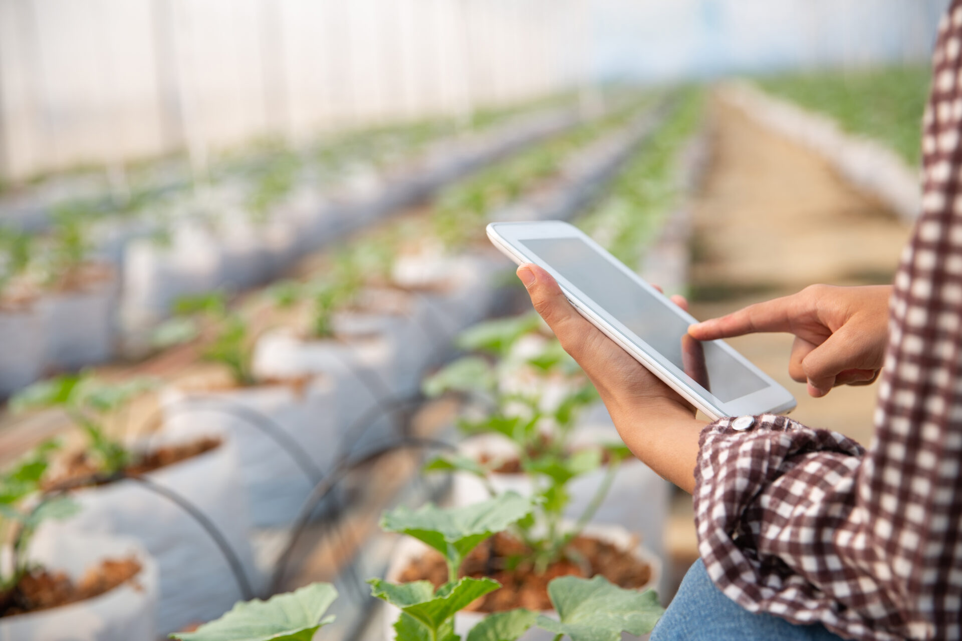 Maestría en Tecnología de la Información Agrícola
