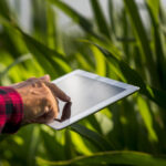 Conheça as aplicações da inteligência artificial no agronegócio